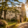 Aceto Balsamico Tradizionale di Reggio Emilia BOB - Geschenkdoos Trittico Balsamico